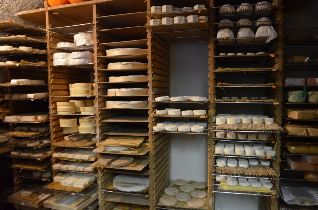 One of three cheese cellars at Xavier
